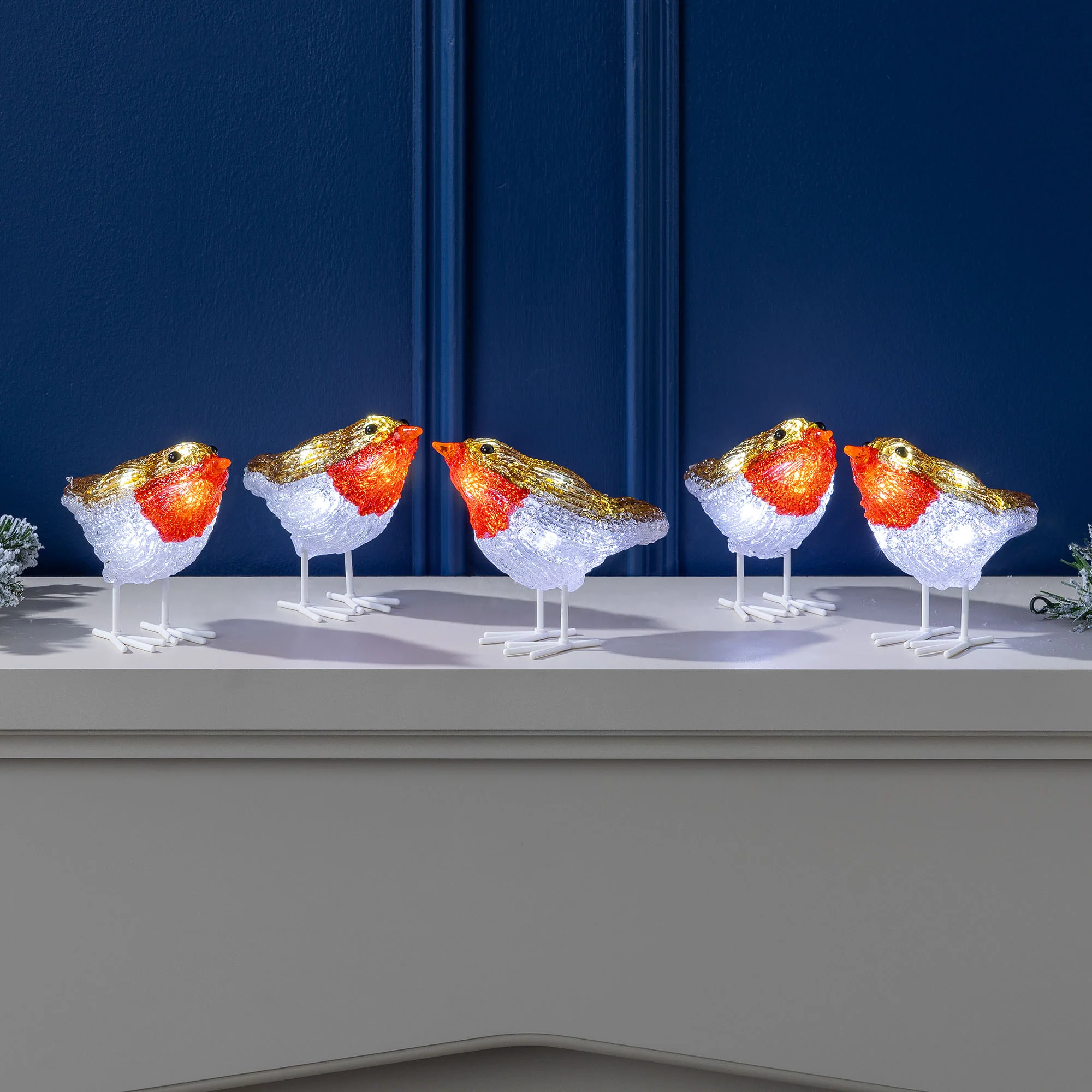 Set of 5 Acrylic Robin Lights - Image 3