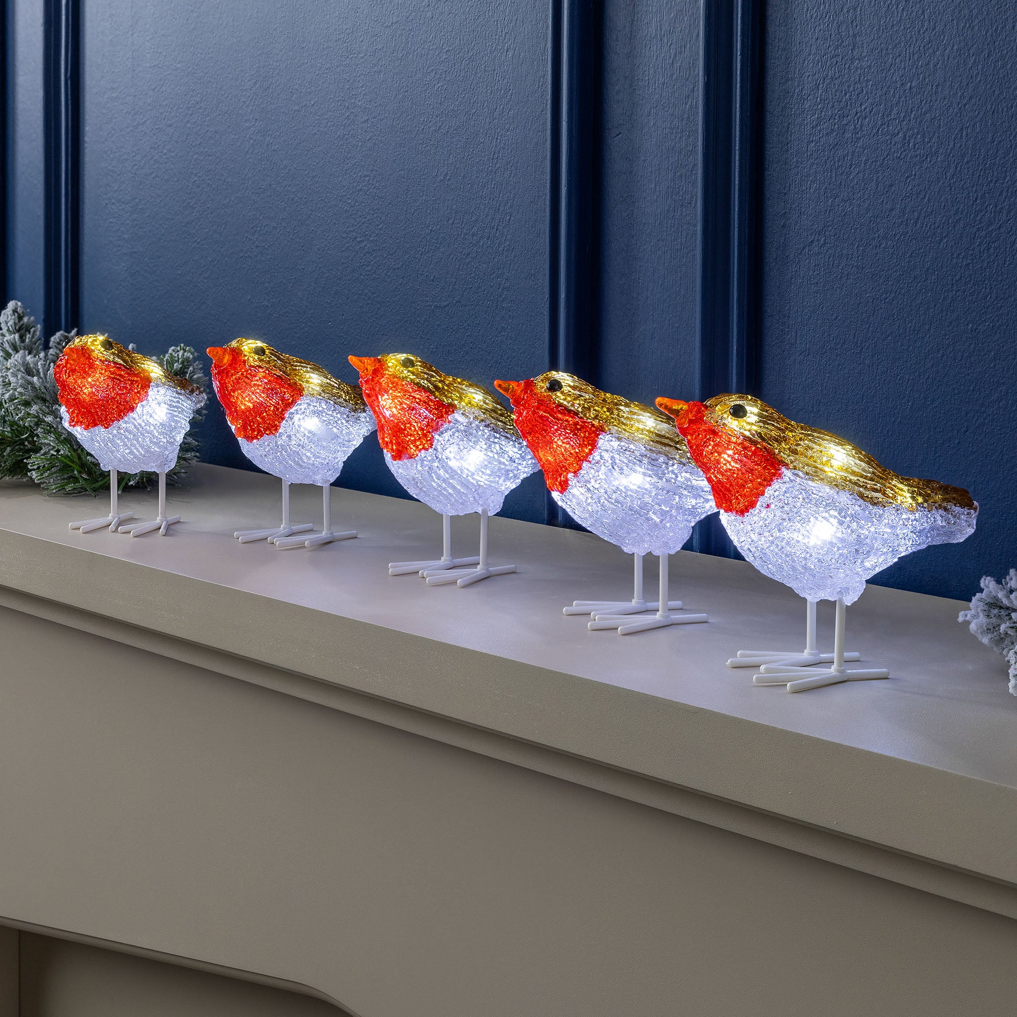 Set of 5 Acrylic Robin Lights - Image 4