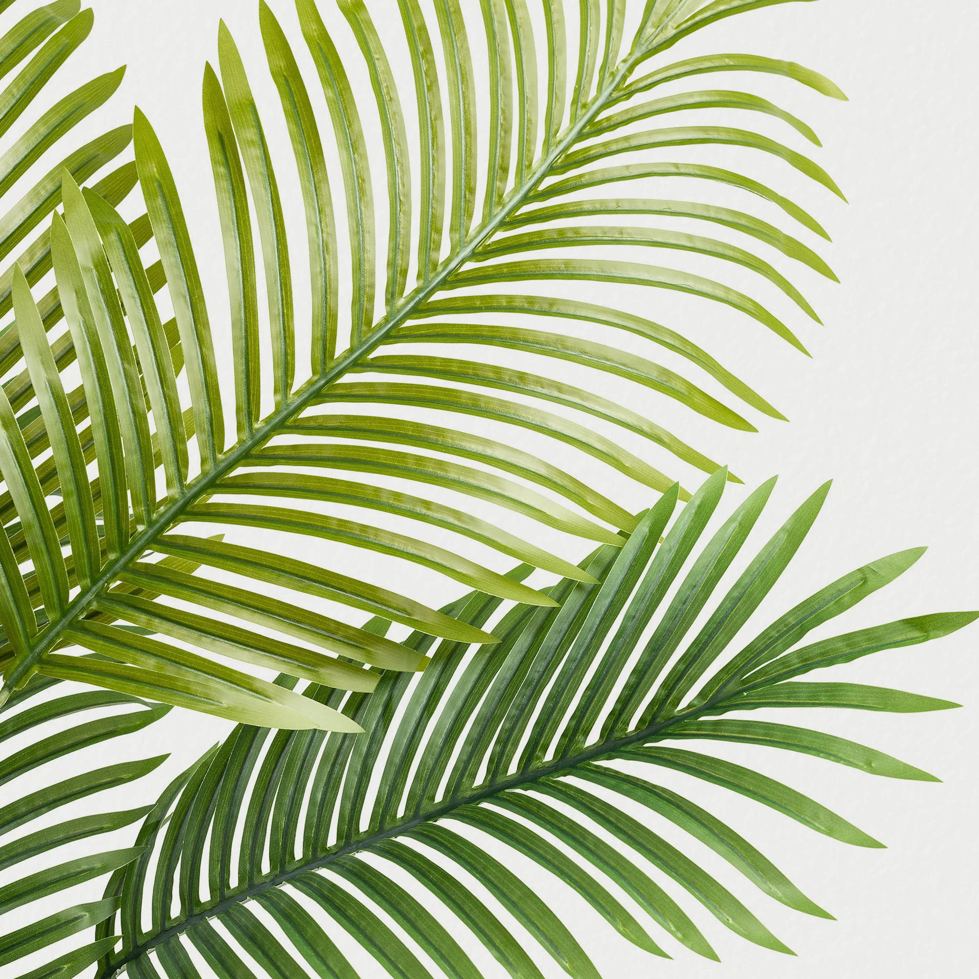 Artificial Areca Palm Tree – 3-6ft - Image 15