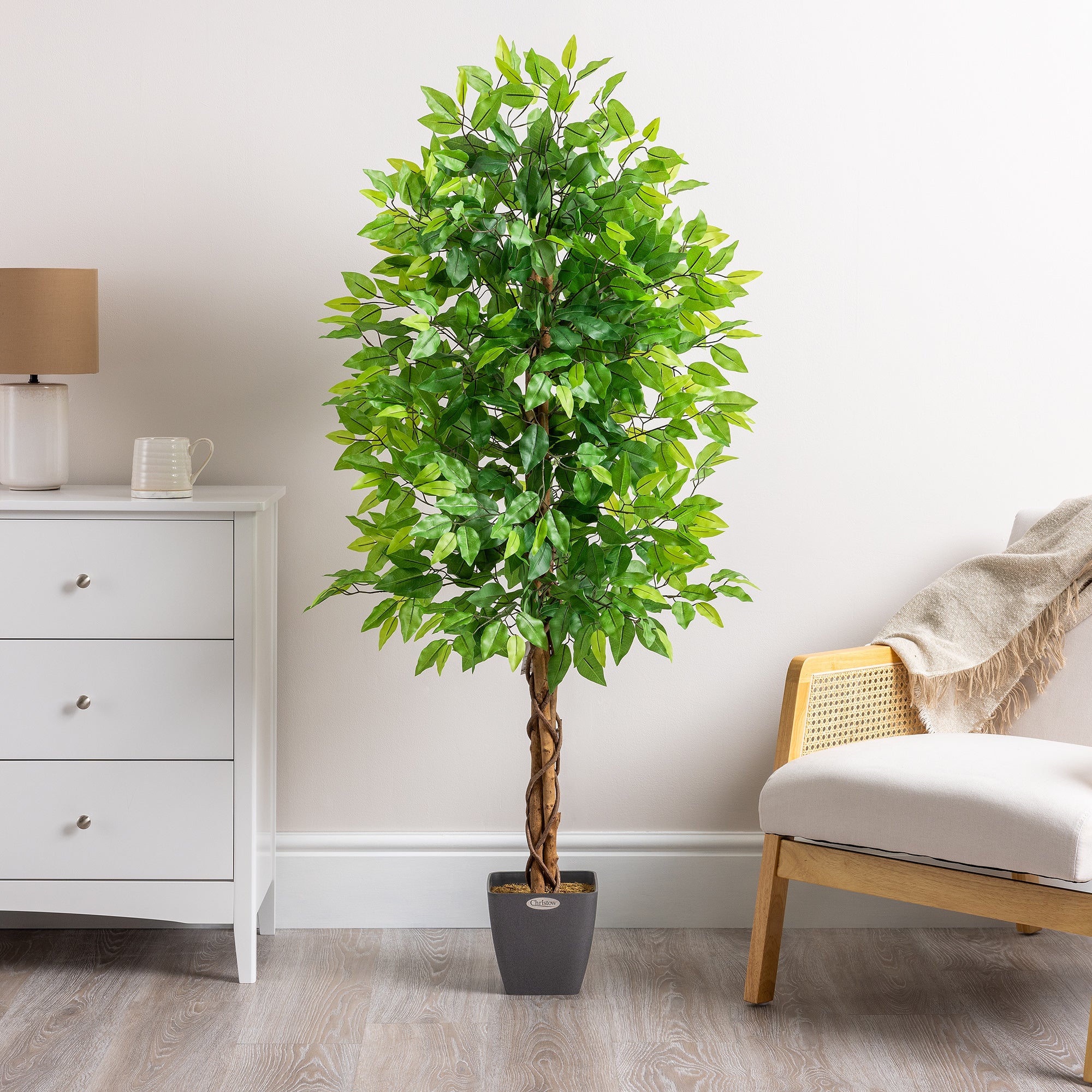 Artificial Ficus Tree – 3ft, 4ft & 5ft - Image 5