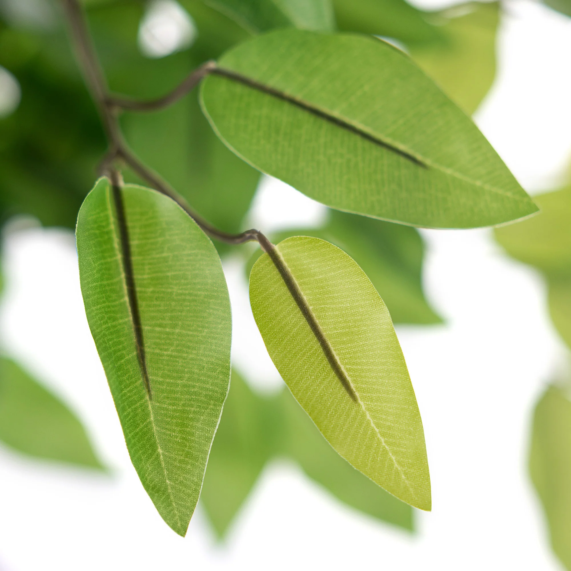 Artificial Ficus Tree – 3ft, 4ft & 5ft - Image 8