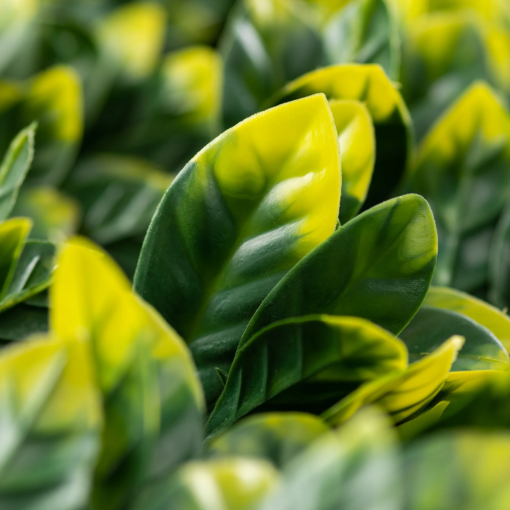 Artificial Laurel Trellis – 2m x 1m - Image 3
