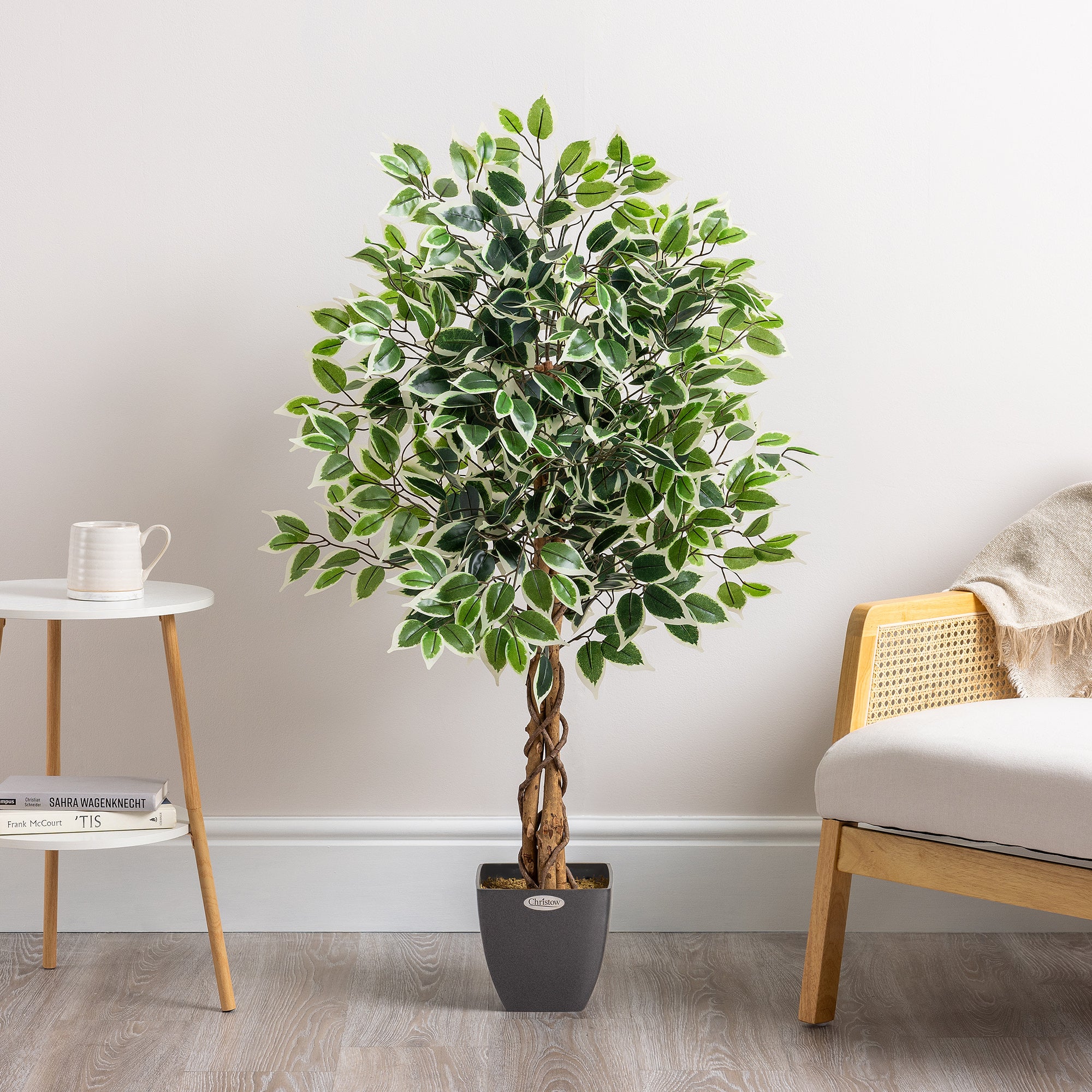 Artificial Variegated Ficus Tree – 3ft, 4ft & 5ft - Image 3