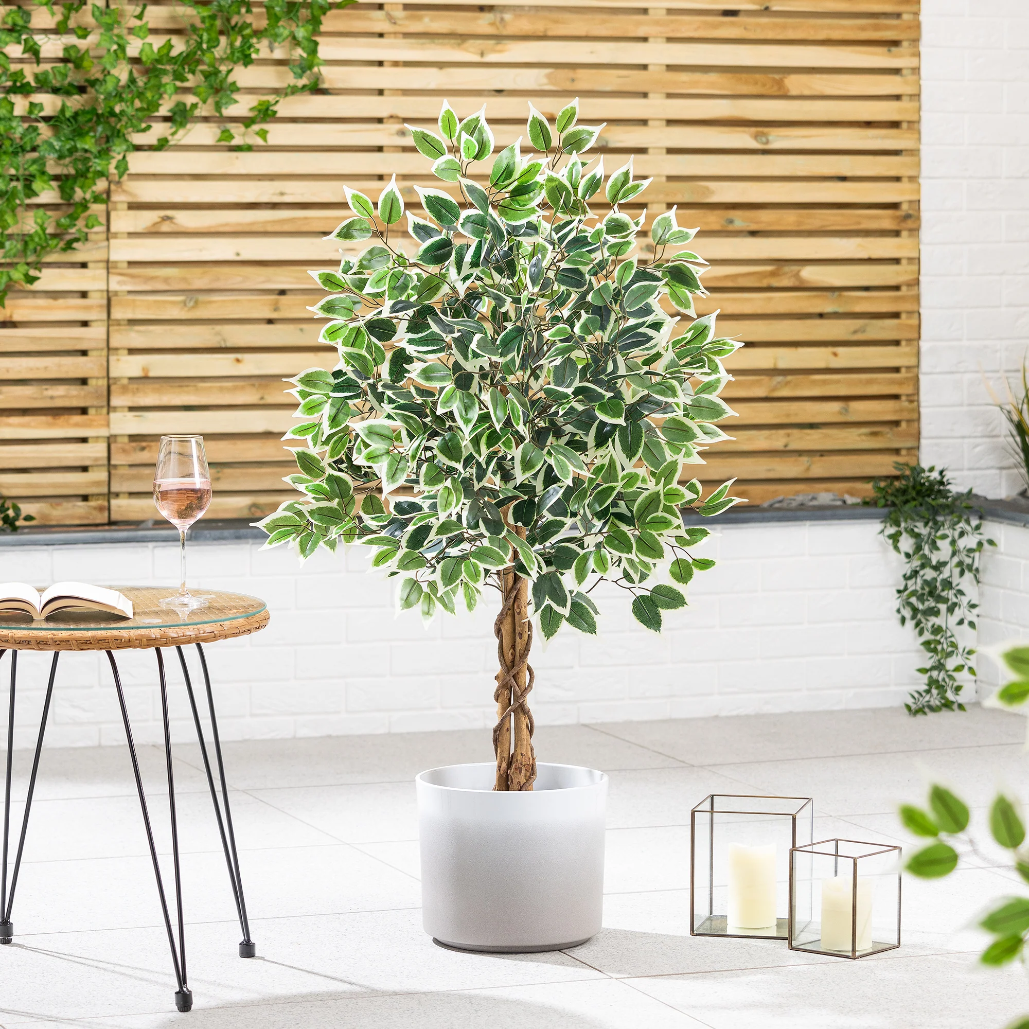 Artificial Variegated Ficus Tree – 3ft, 4ft & 5ft - Image 4