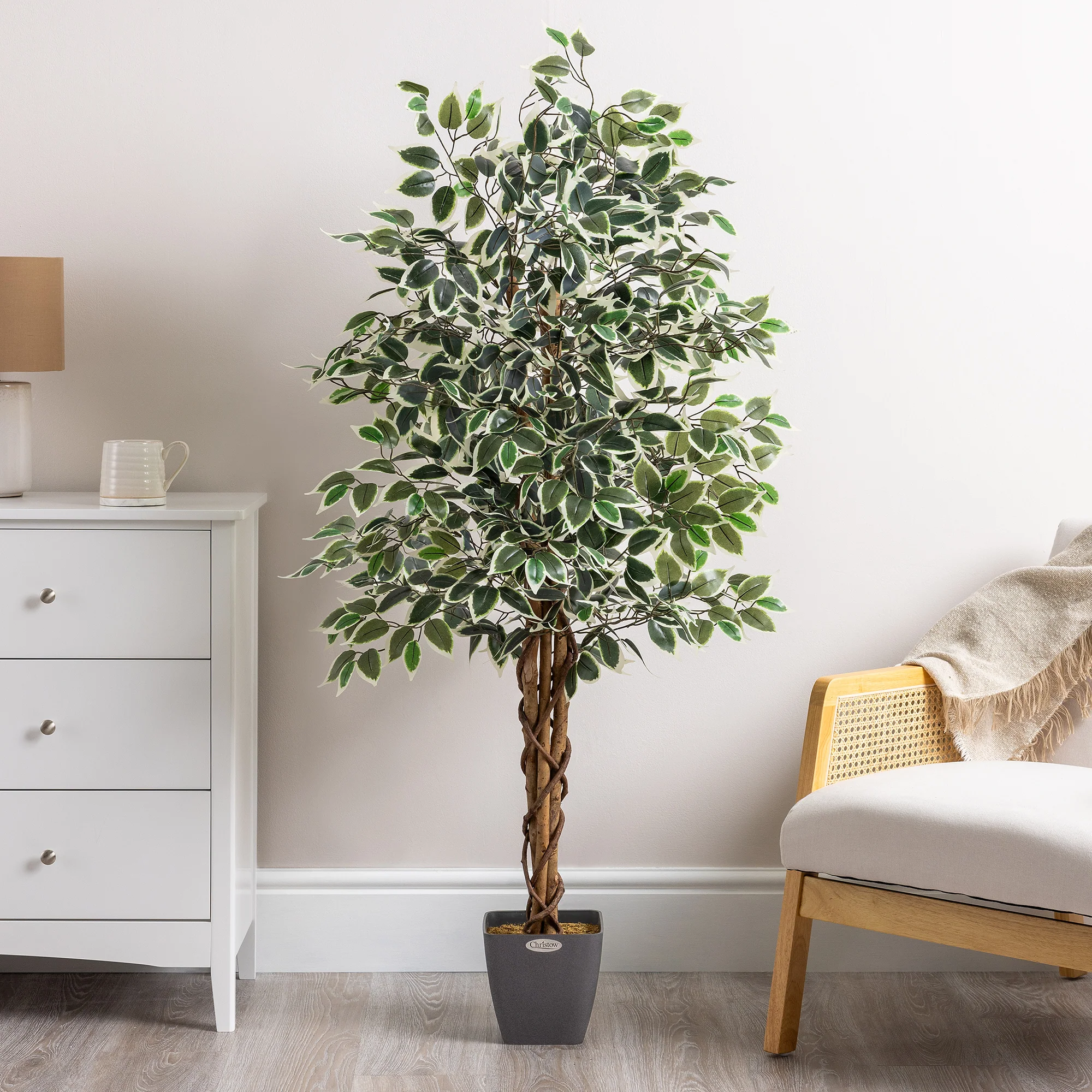 Artificial Variegated Ficus Tree – 3ft, 4ft & 5ft - Image 5