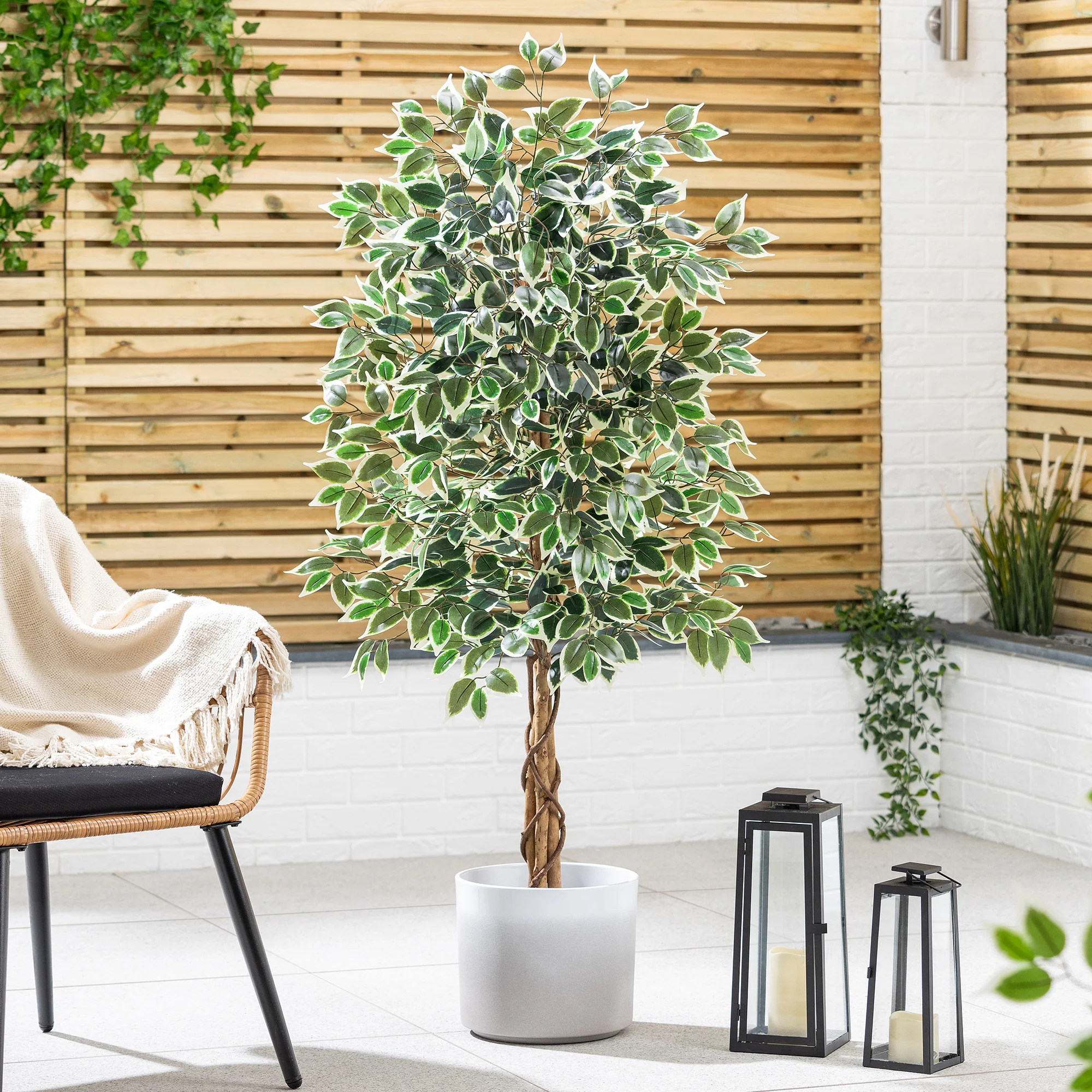 Artificial Variegated Ficus Tree – 3ft, 4ft & 5ft - Image 6