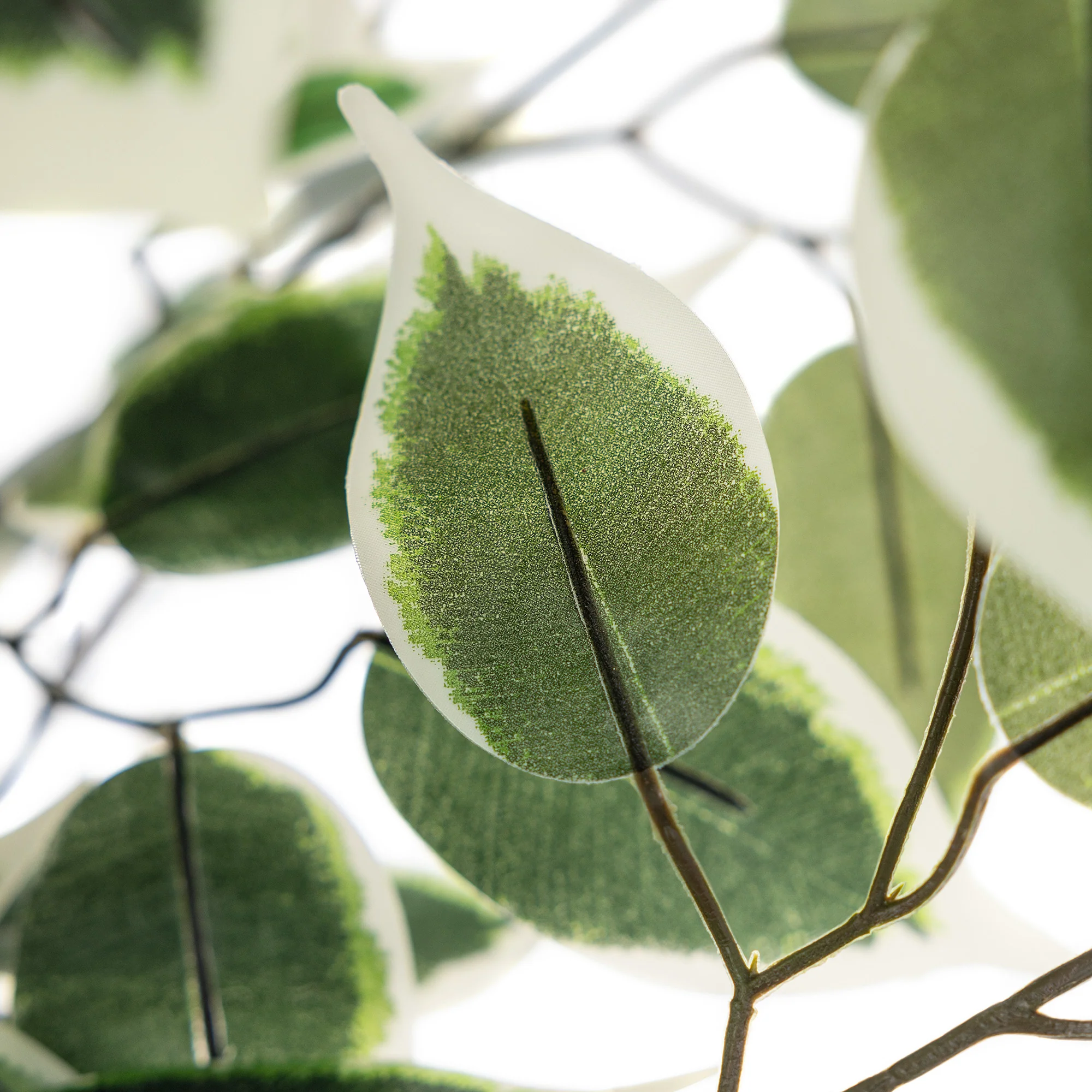 Artificial Variegated Ficus Tree – 3ft, 4ft & 5ft - Image 8