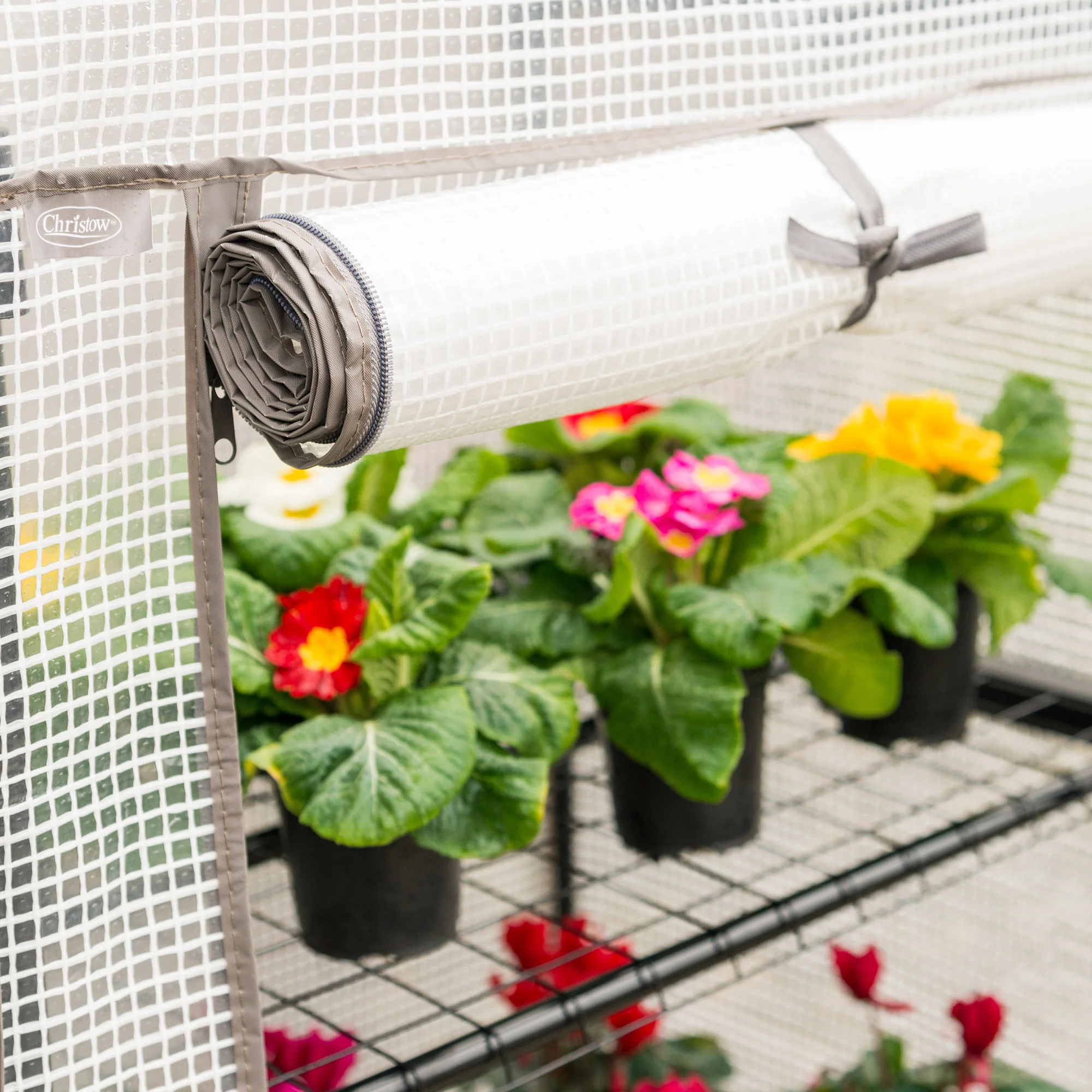 Mini Greenhouse with PE Cover - Image 5