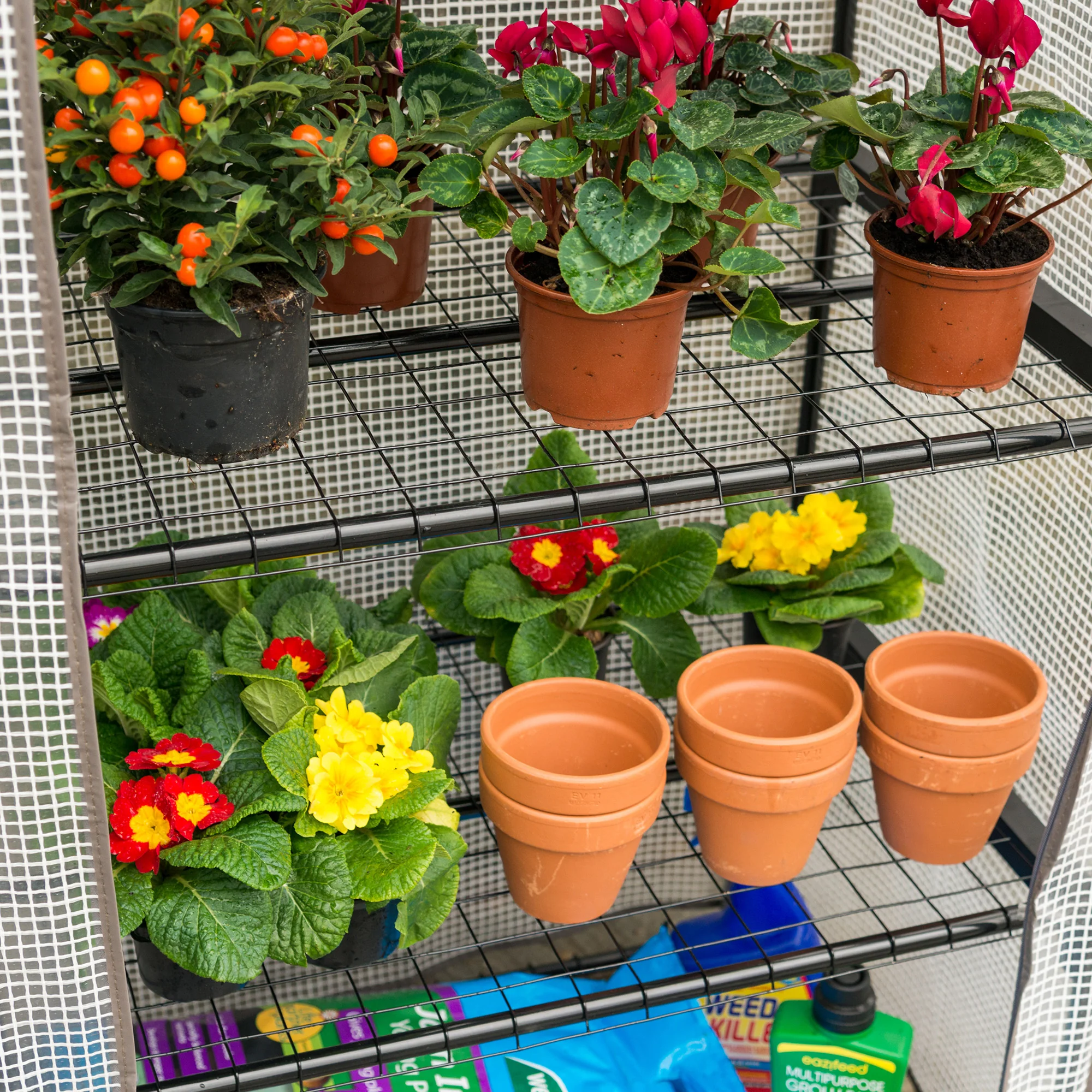 Mini Greenhouse with PE Cover - Image 6