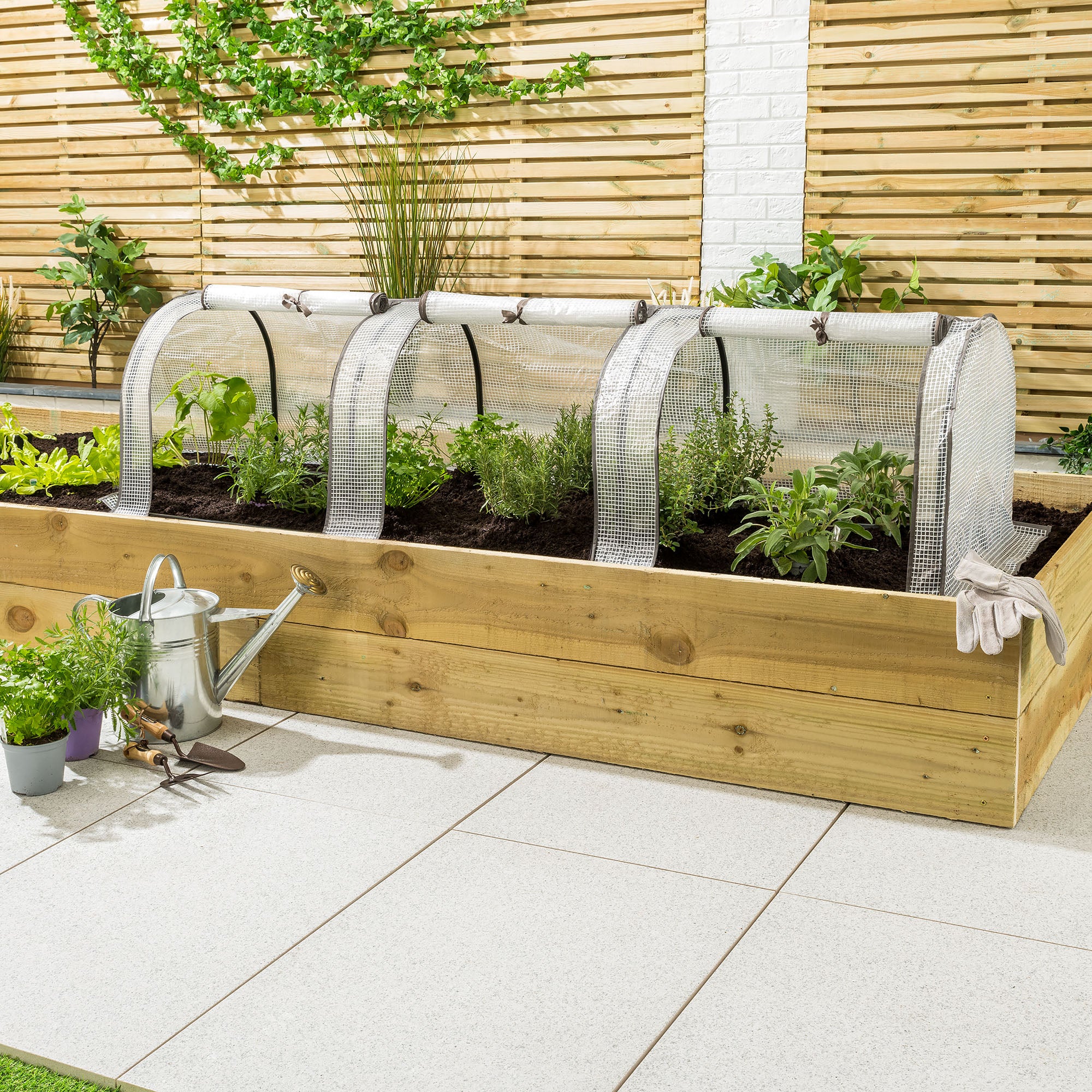 Grow Tunnel - Image 3
