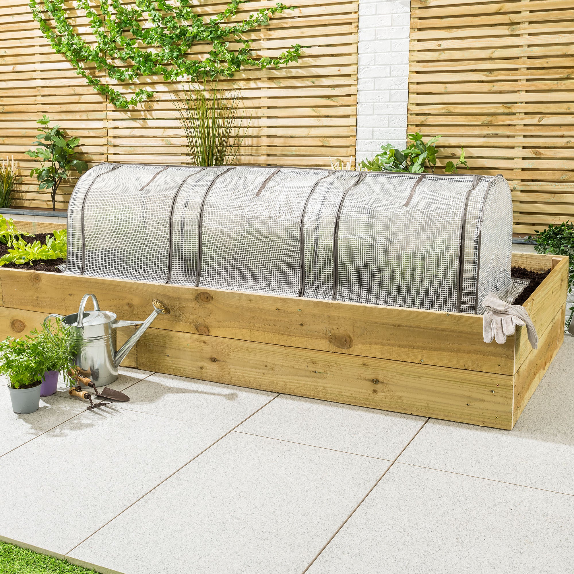 Grow Tunnel - Image 4