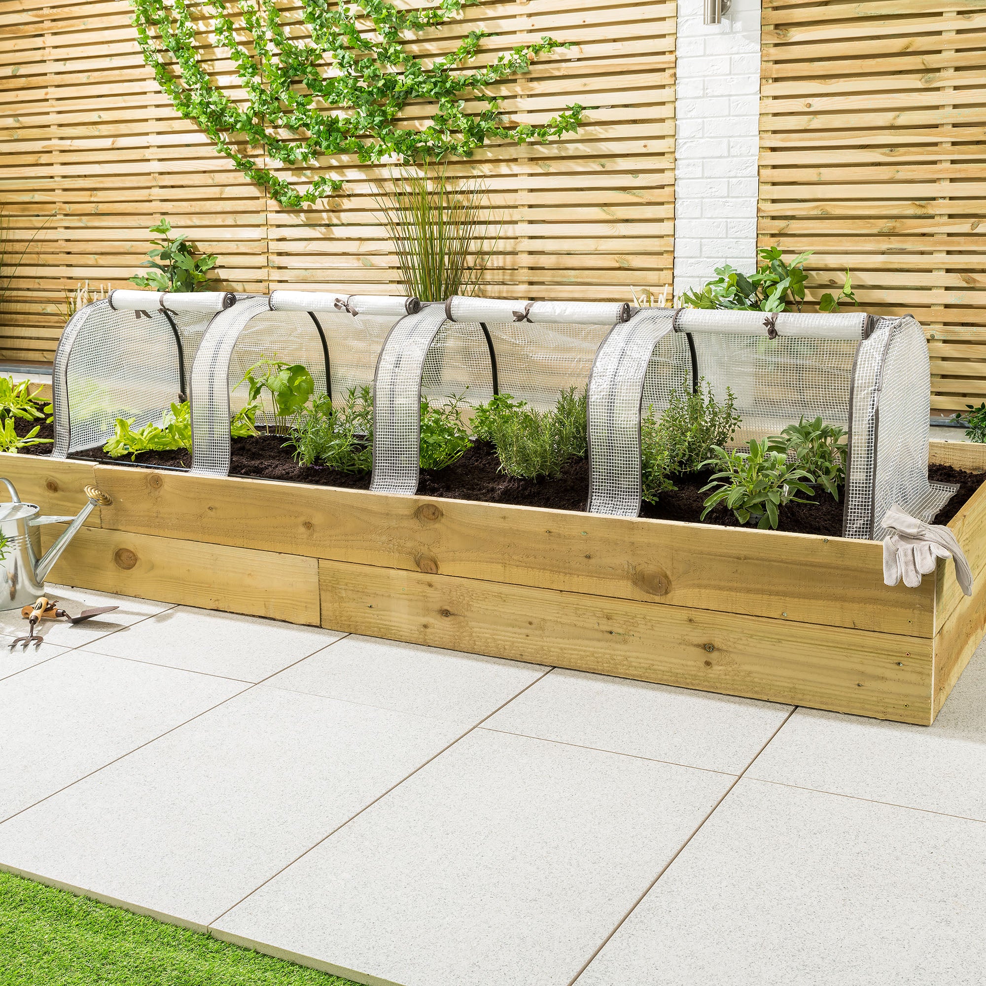 Grow Tunnel - Image 5