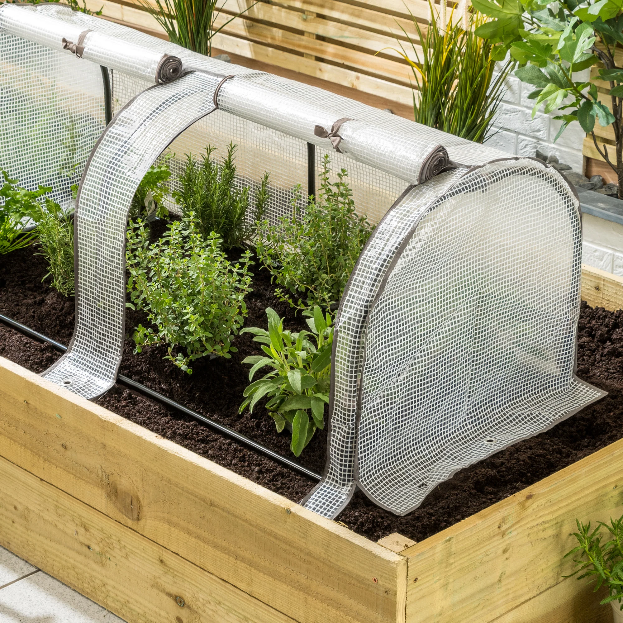 Grow Tunnel - Image 8