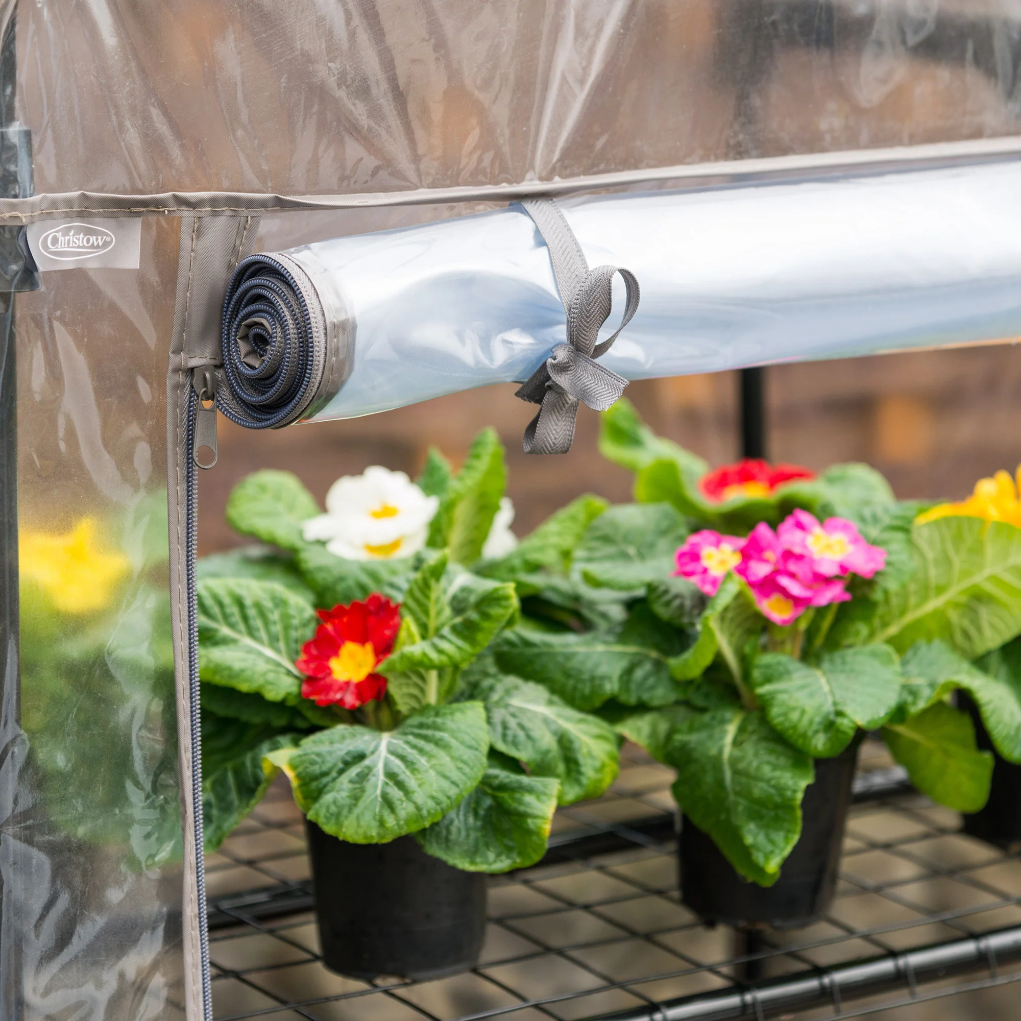 Mini Greenhouse with PVC Cover - Image 5