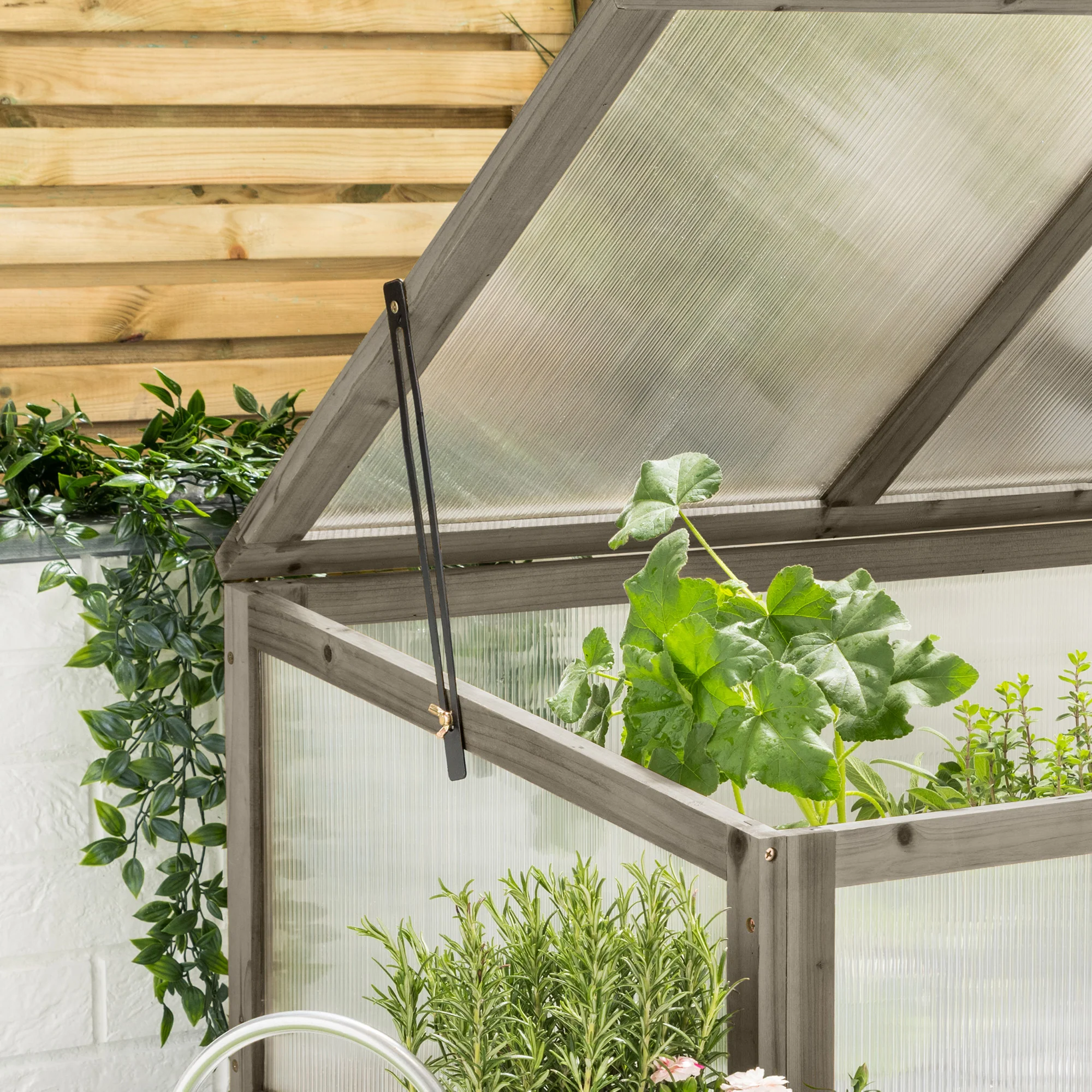 Raised Bed Cold Frame – 100cm Wide - Image 4