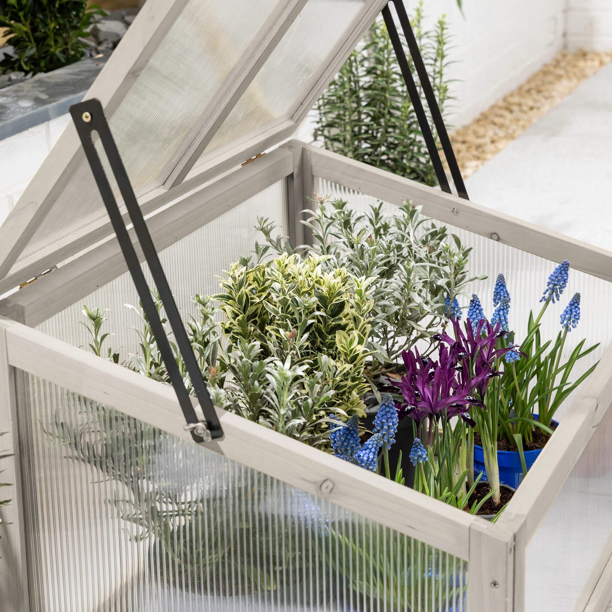 Raised Bed Cold Frame – 70cm Wide - Image 3