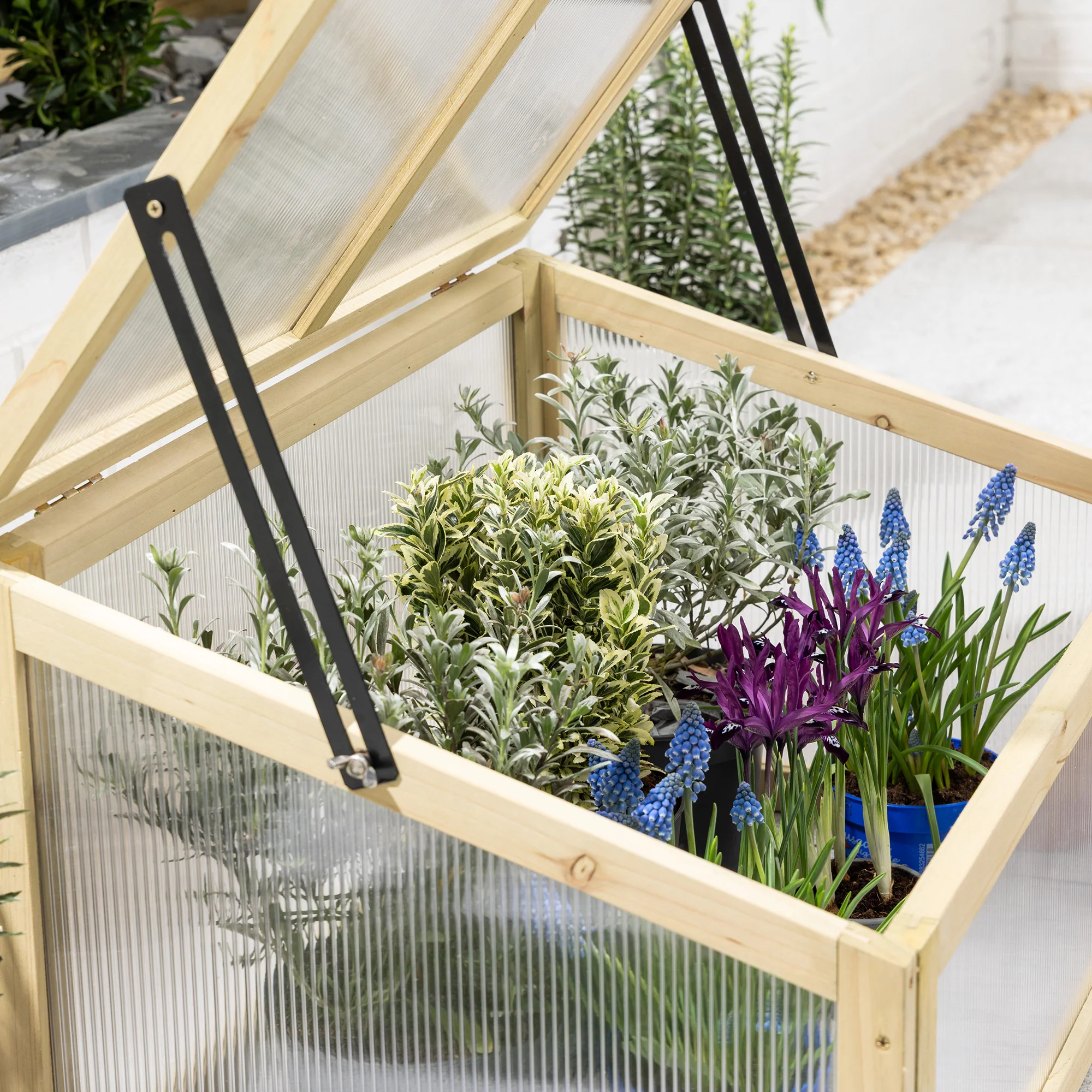 Raised Bed Cold Frame – 70cm Wide - Image 7