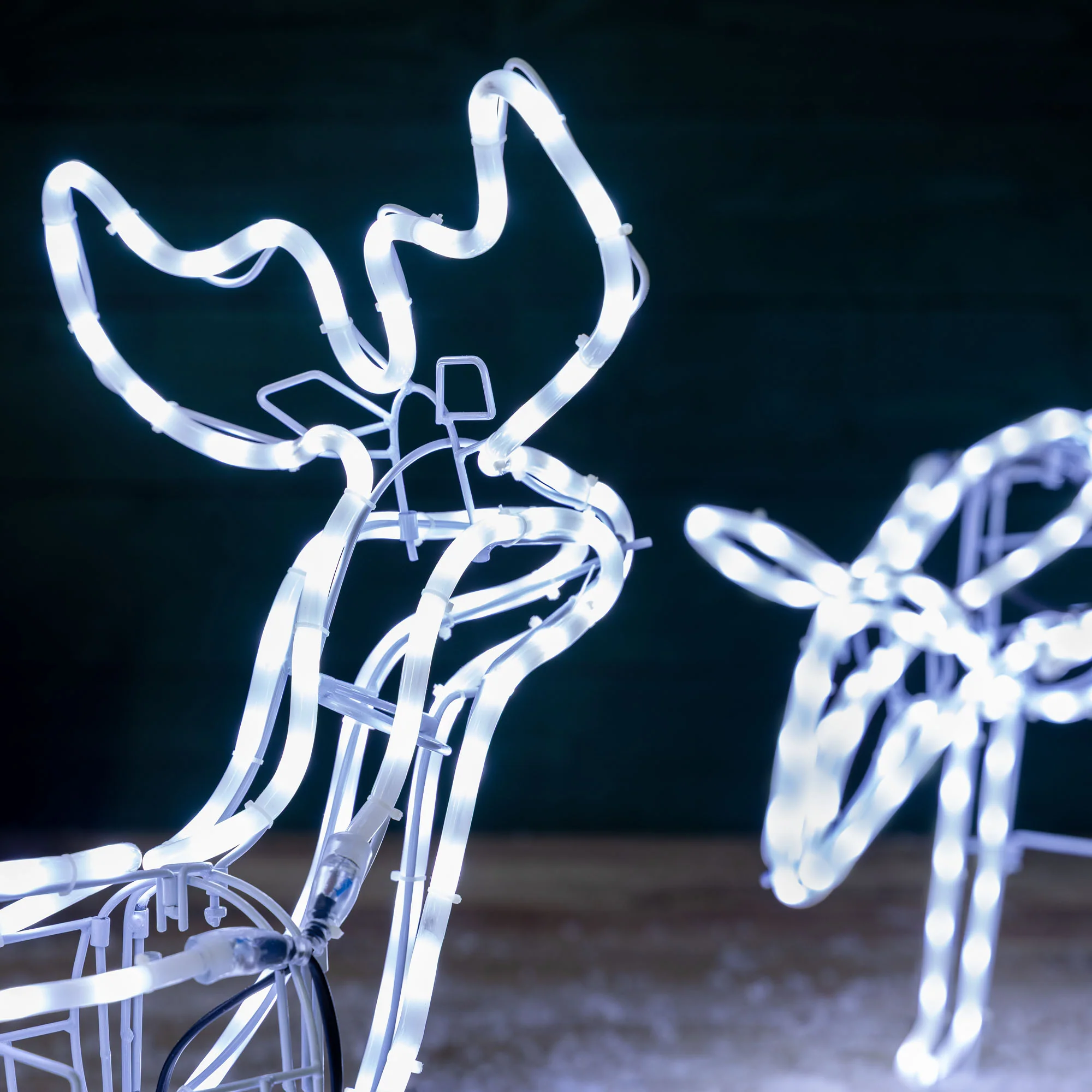 White LED Reindeer - Image 7